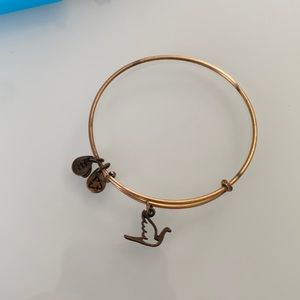 Alex and Ani Dove